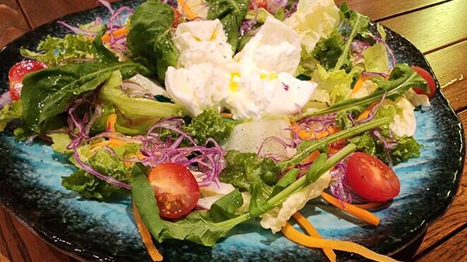 OSTERIA GAINA - メイン写真: