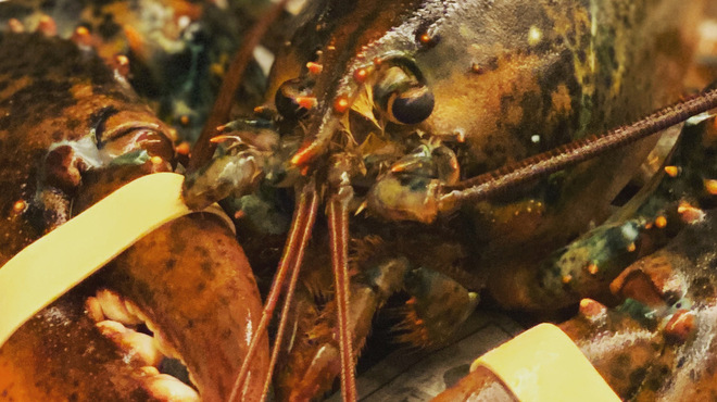 鉄板ダイニング 法貴 - メイン写真: