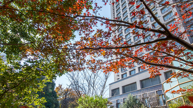 龍天門 - 外観写真:ウェスティン ガーデン側から臨むホテル外観