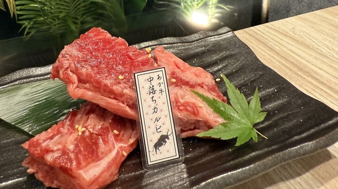 Wagyu Yakiniku Ichigo Ichien