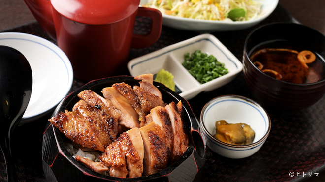 名古屋コーチン・旬菜 一鳳 金山本店 - 料理写真:品質にこだわった“純鶏名古屋コーチン”専門店