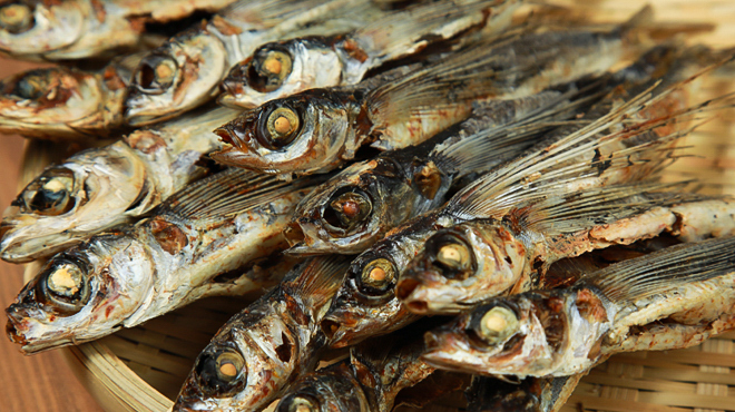 日日うどん - メイン写真: