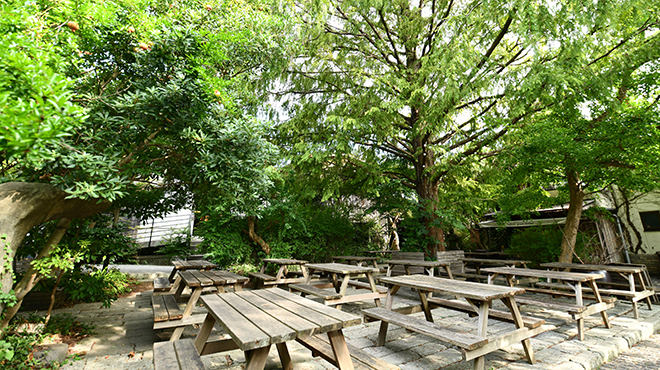 MOKICHI TRATTORIA - メイン写真: