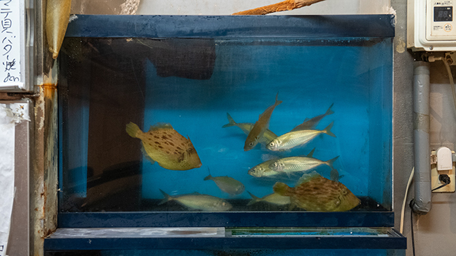 大衆酒蔵　水戸黄門 - メイン写真: