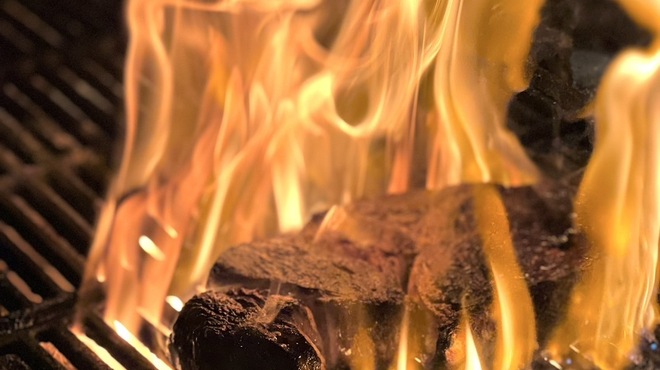 CICADA - メイン写真: