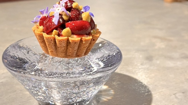 CICADA - メイン写真: