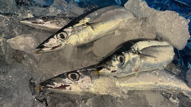 越後屋 三太夫 - メイン写真: