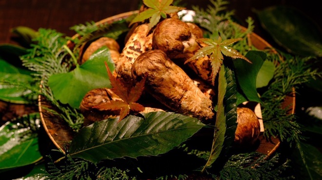 ぎんざ 一二岐 - 料理写真: