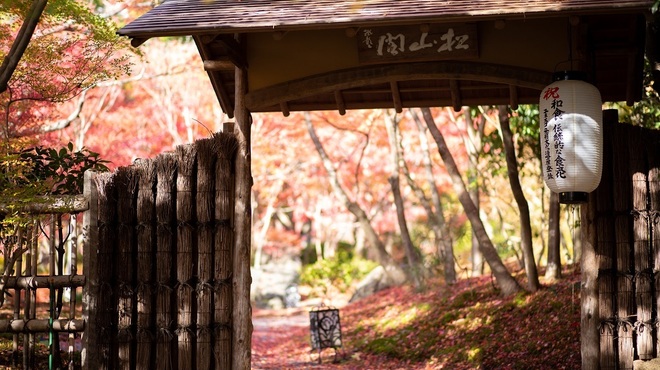 松山閣 松山 本店 - メイン写真: