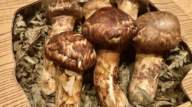 稲荷町髙はし - メイン写真: