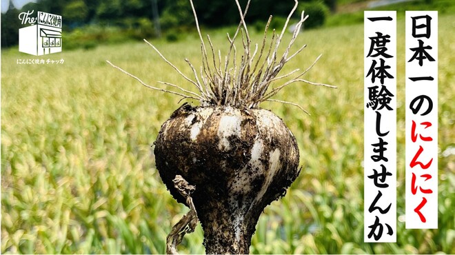 にんにく焼肉 チャッカ - メイン写真: