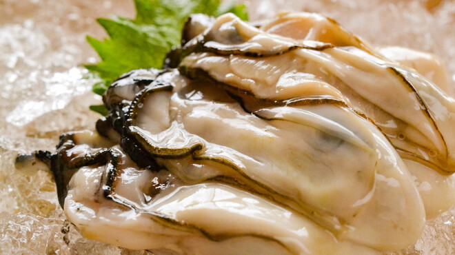 四季彩粋庵 - メイン写真: