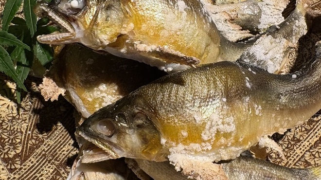 BANSAN 京色 - メイン写真: