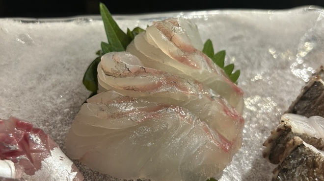 地魚料理・鮨 佐々木 - 料理写真:ヒラメ