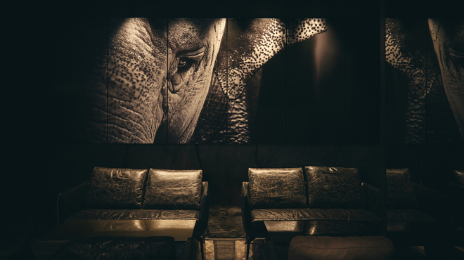 THE GREY ROOM - メイン写真: