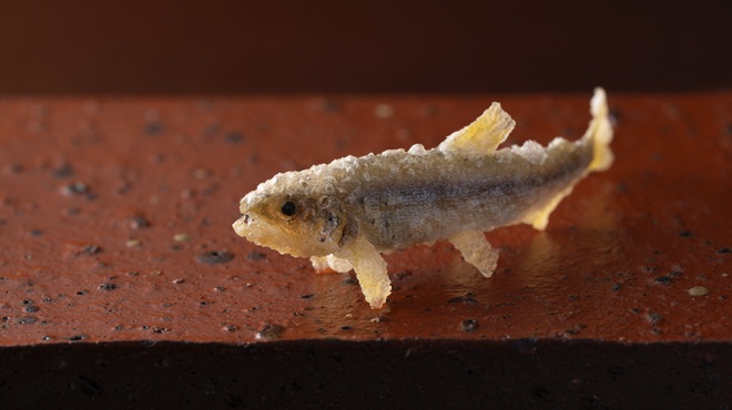 天ぷら 桜人 - メイン写真: