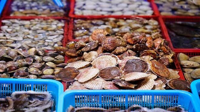 Waraku Seafood Sakaba