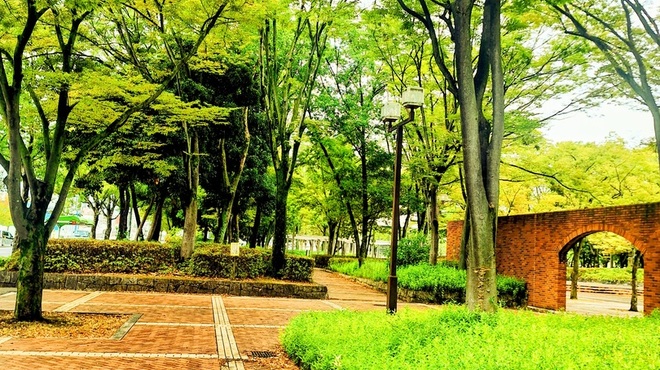 ゼンゼロ - メイン写真: