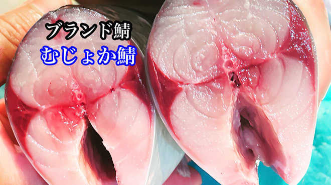 鮨和さび - メイン写真: