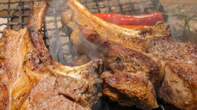 VENISON by TERRA - メイン写真: