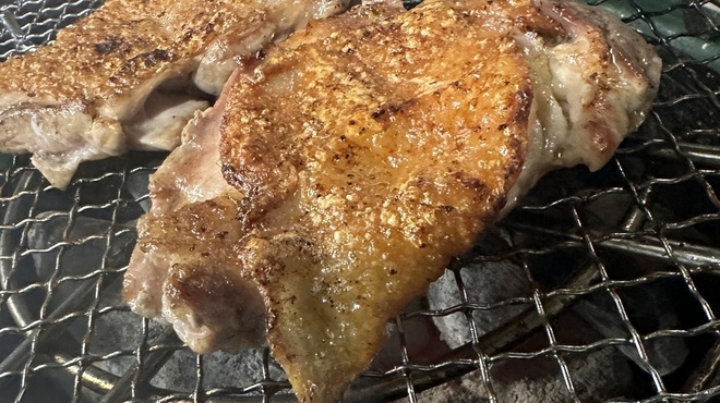 碧と風 - メイン写真: