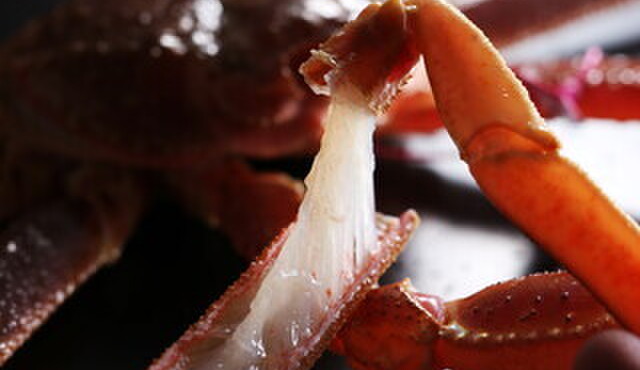 祇園 かにを喰らう - メイン写真: