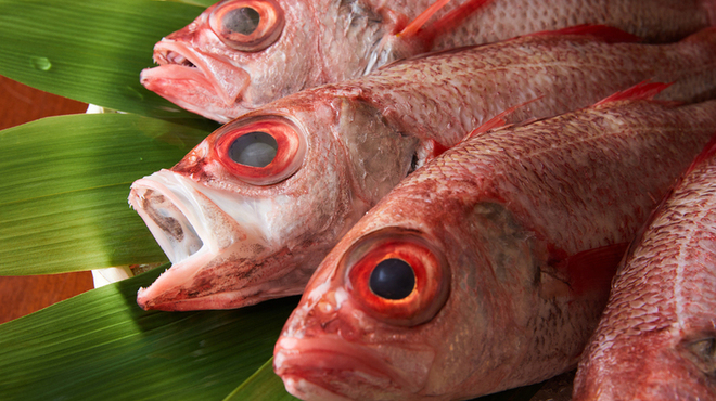 蕎麦前 一心 - メイン写真: