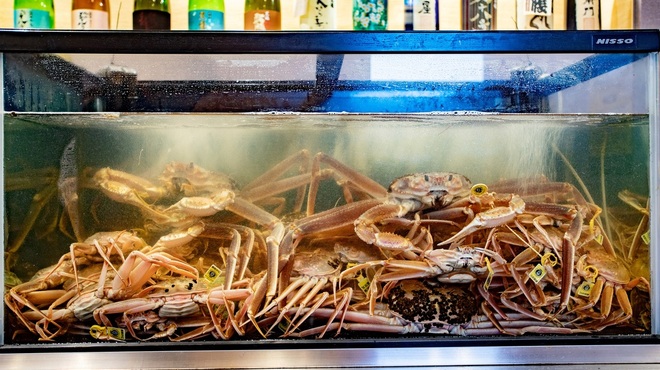 和食と鉄板料理 美くに - メイン写真: