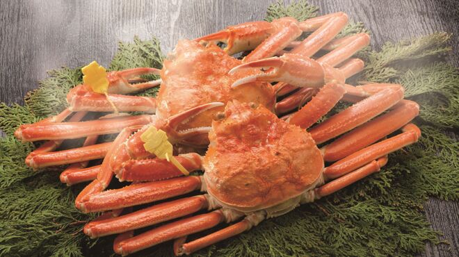 和食と鉄板料理 美くに - メイン写真: