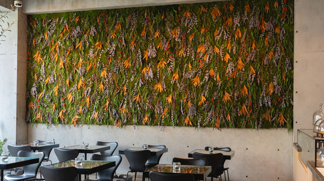 Nicolai Bergmann NOMU - メイン写真: