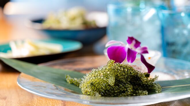 Natsu to Umi to Taiyo to NAMIOTO