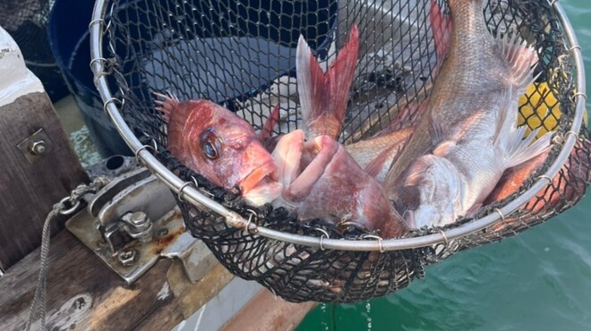 千里中央海鮮食堂 はなれ おーうえすと - メイン写真: