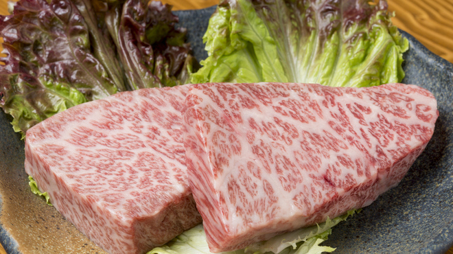 とろび 観光通 居酒屋 食べログ とろび 観光通 居酒屋 食べログ