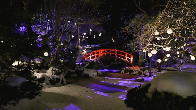 エルムガーデン - 料理写真:冬ライトアップ