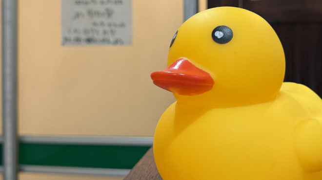 야키니쿠 내장구이 니쿠타레야 이즈미사노점 히노데유 아토치