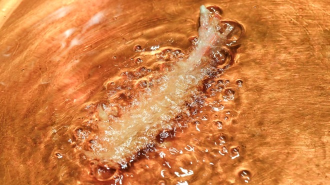 天ぷら 麻布十番 やなせ - メイン写真: