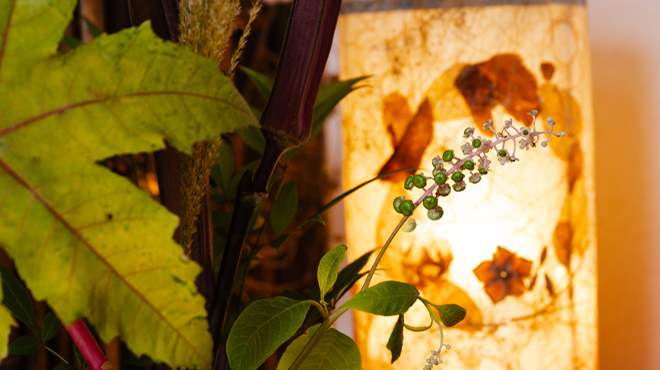 割烹　青柳 - メイン写真: