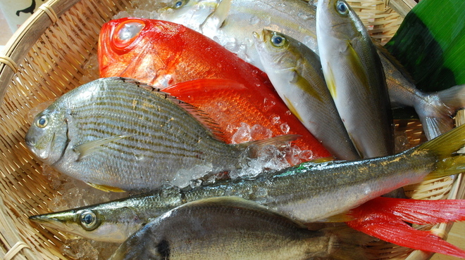 わらべ菜魚洞 - メイン写真: