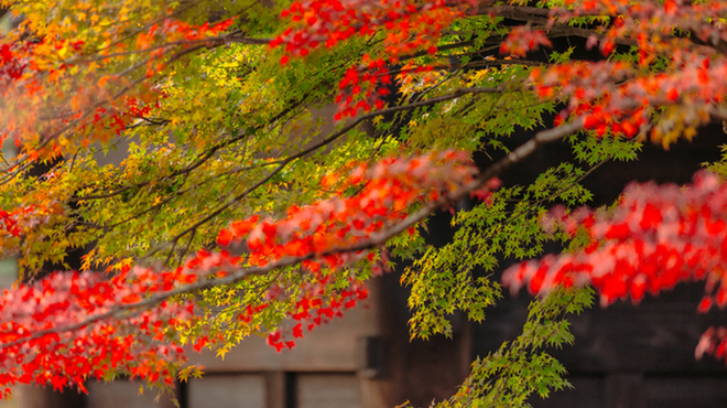 料庭 八千代 - メイン写真: