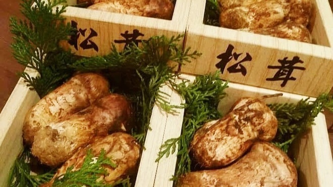 東京やきとり亭 - メイン写真: