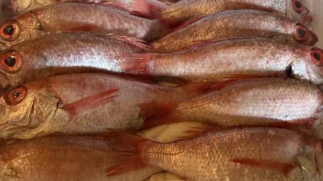 魚酒肴 くぅ - メイン写真: