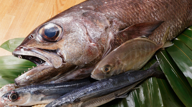 旬彩和処 暁 - メイン写真: