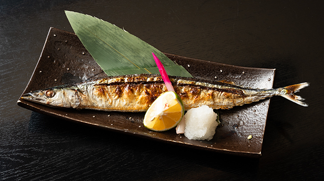 智や - メイン写真: