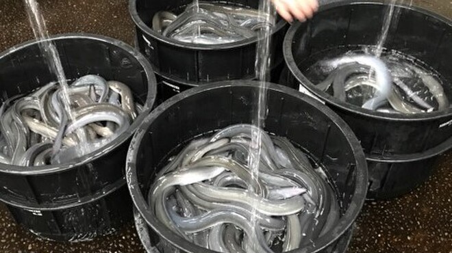 登亭 - メイン写真: