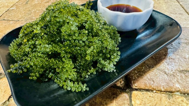 采 - メイン写真: