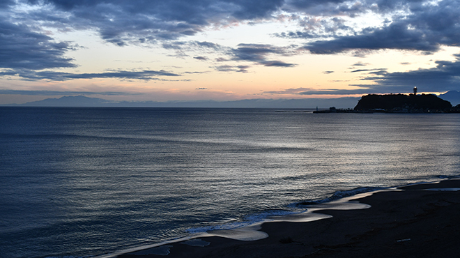 Double Doors NAVY - メイン写真: