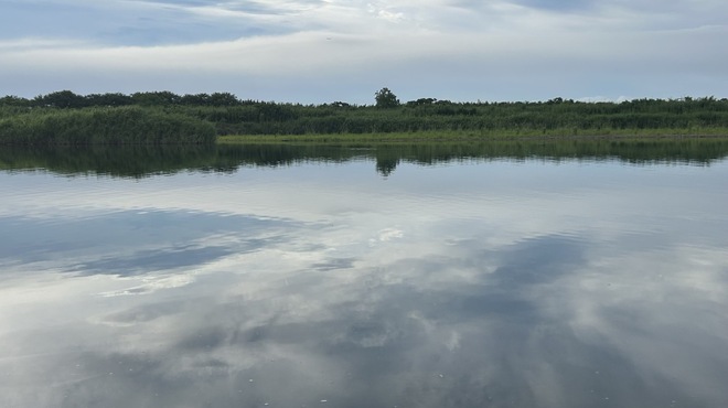 il Sorriso - メイン写真: