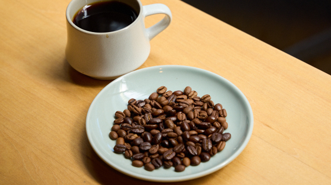 ROOTS - メイン写真: