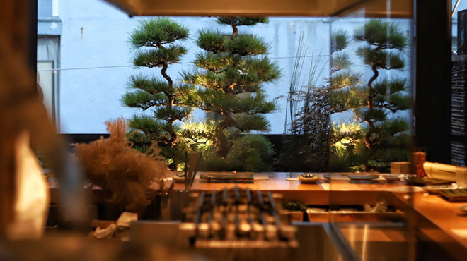 炭火焼 鳥清 - メイン写真: