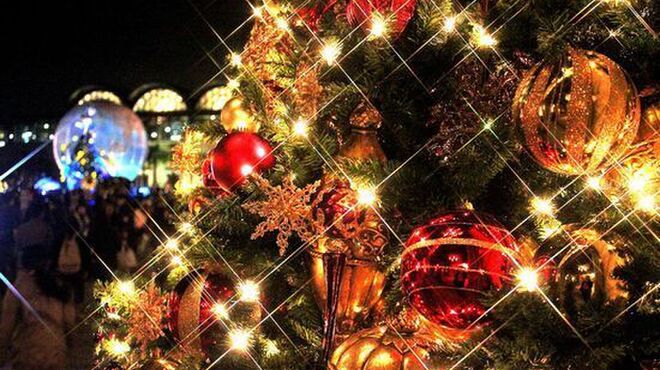 ビストロMER - メイン写真: